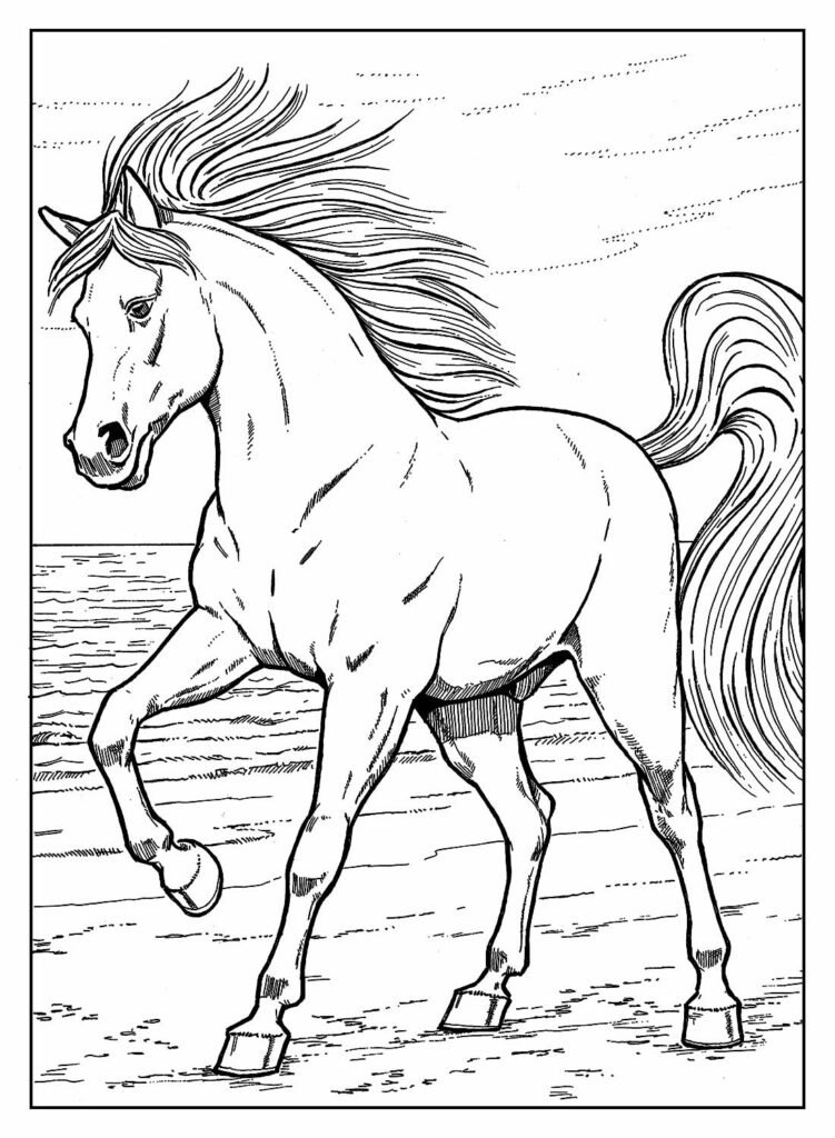 desenhos de cavalo para colorir 55