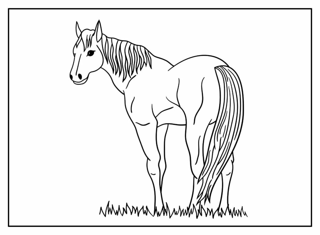 desenhos de cavalo para colorir 56