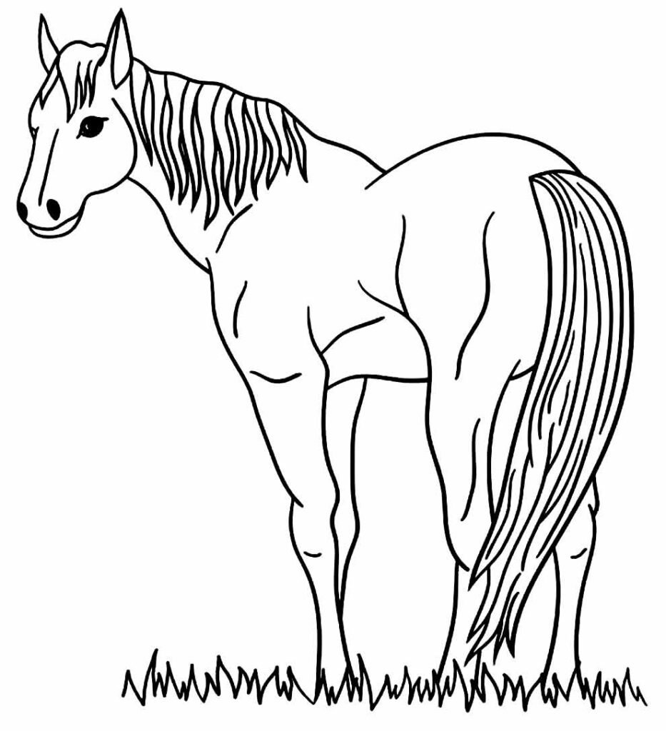 desenhos de cavalo para colorir 57