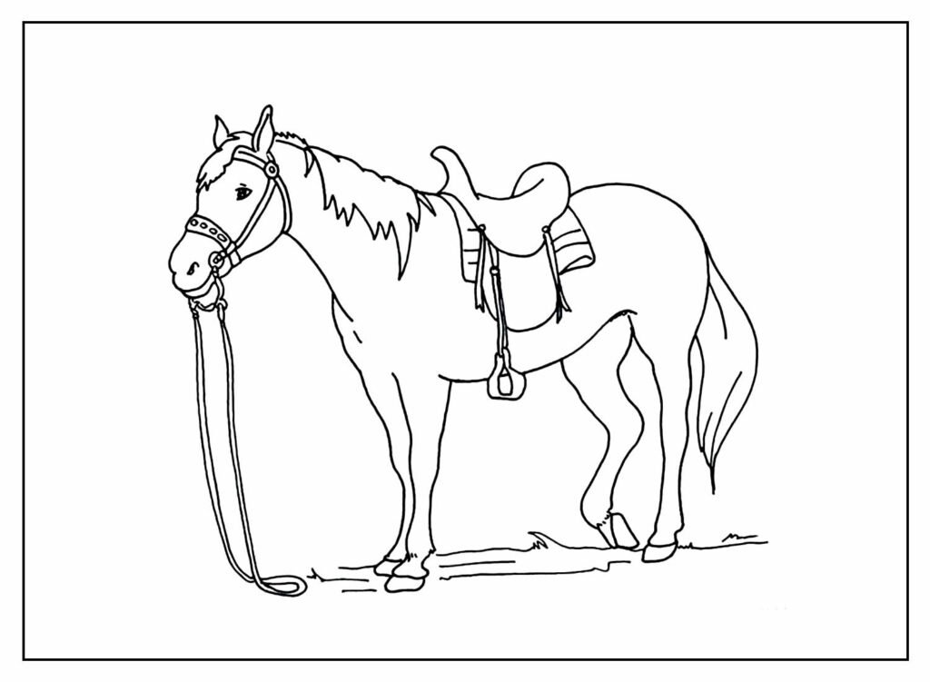 desenhos de cavalo para colorir 7