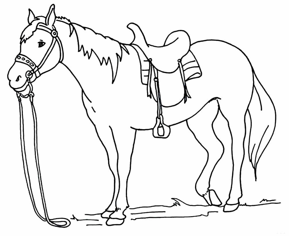 desenhos de cavalo para colorir 8