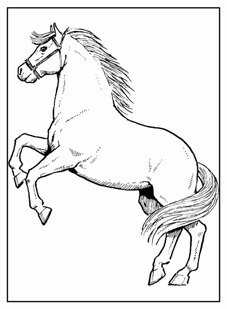 desenhos de cavalo para colorir 9