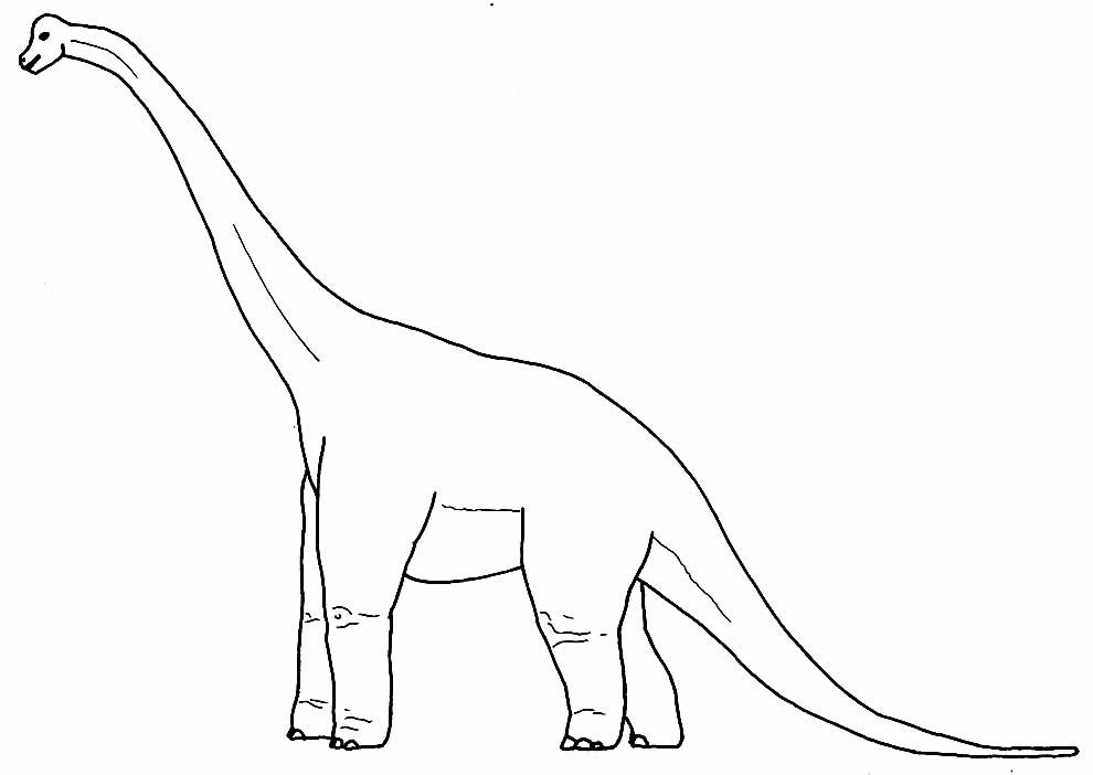 desenhos de dinossauro para colorir 20