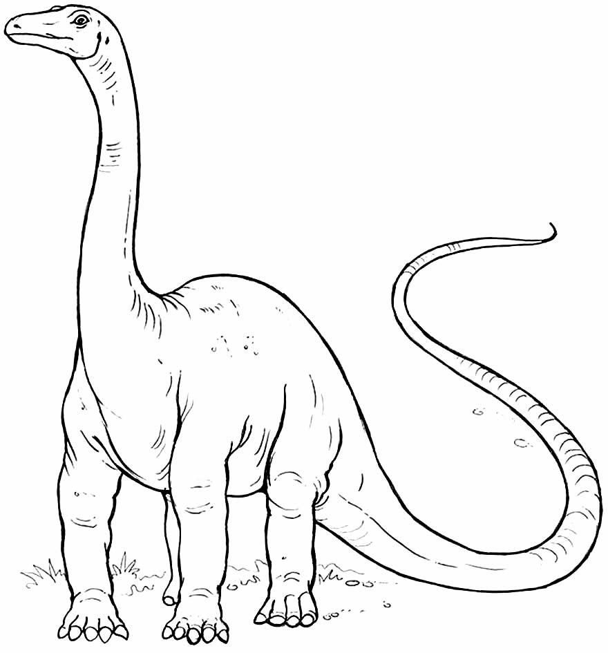 desenhos de dinossauro para colorir 22