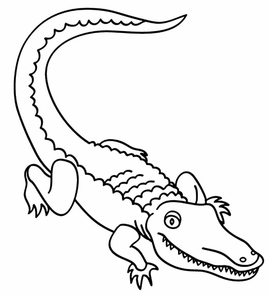 desenhos de jacare para colorir 17