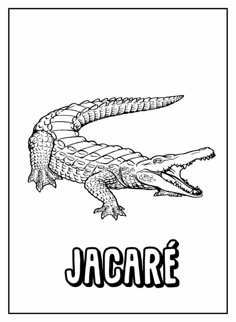 desenhos de jacare para colorir 2