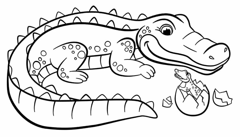 desenhos de jacare para colorir 6