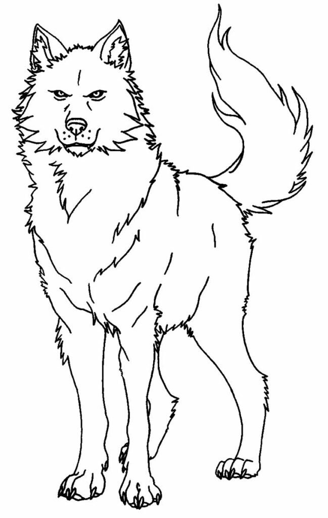 desenhos de lobo para colorir 13