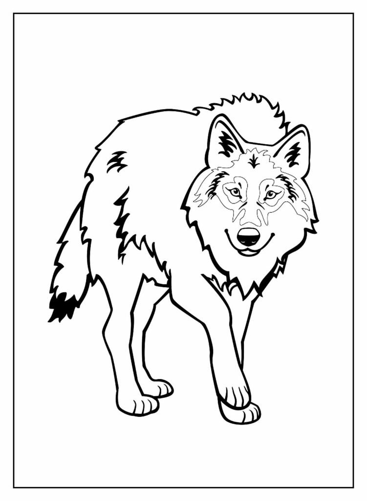 desenhos de lobo para colorir 19