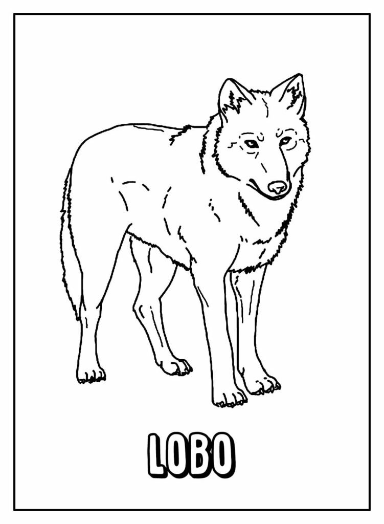 desenhos de lobo para colorir 25