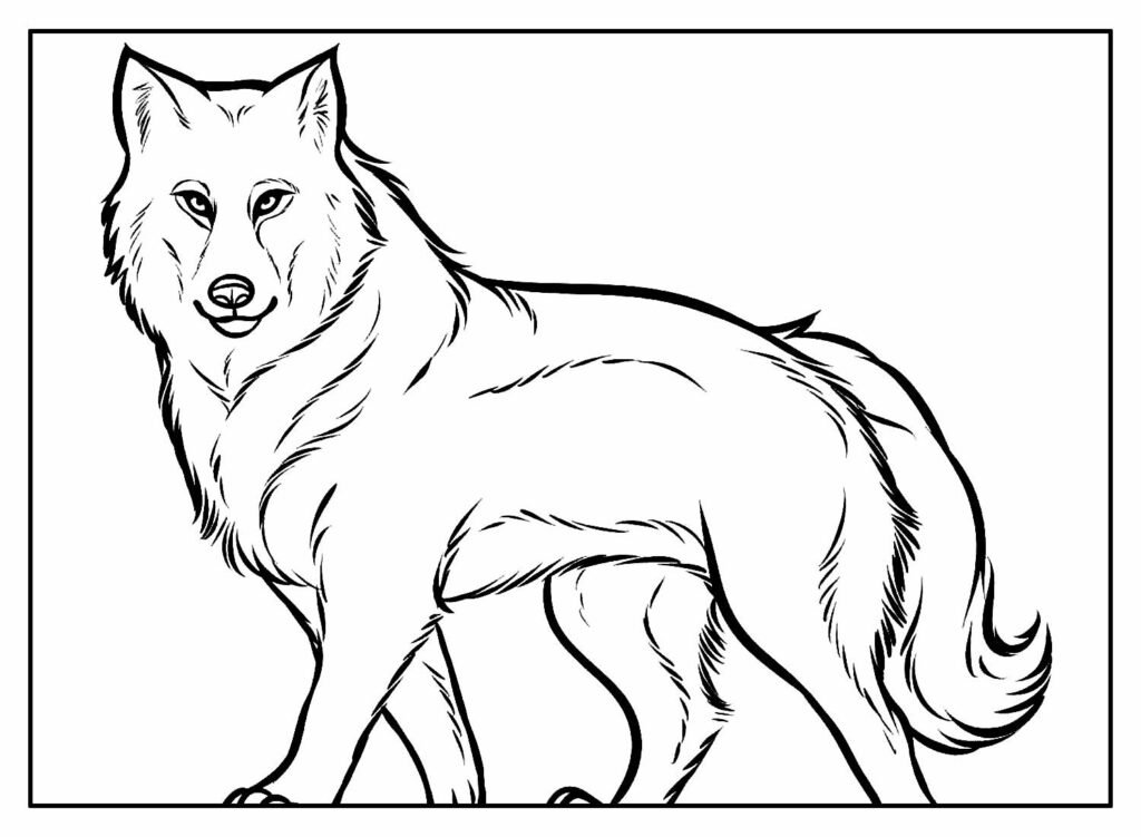 desenhos de lobo para colorir 5