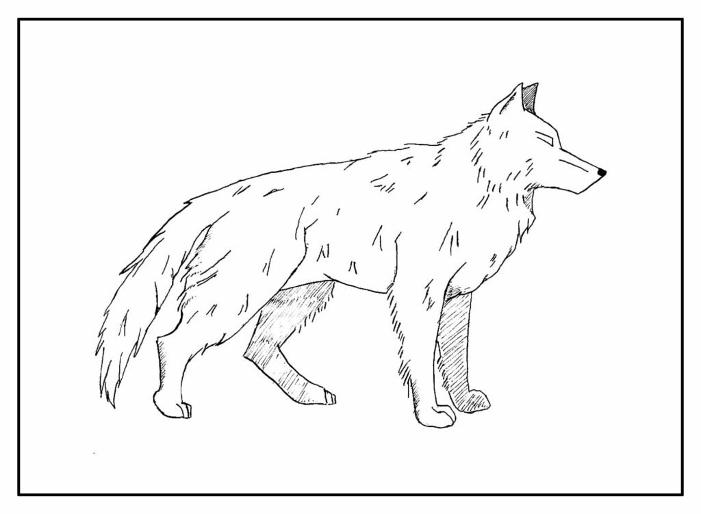 desenhos de lobo para colorir 7