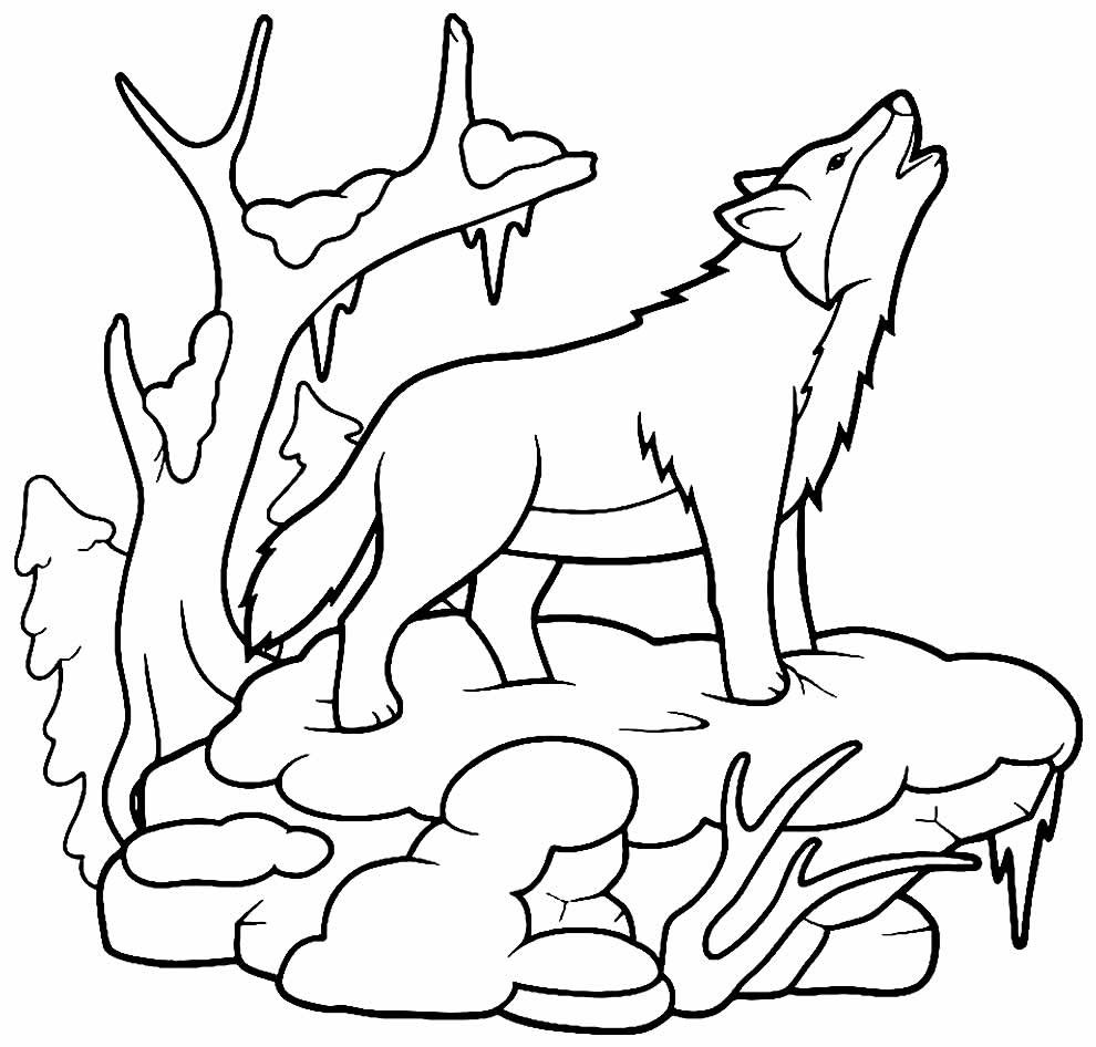 desenhos de lobo para colorir 9