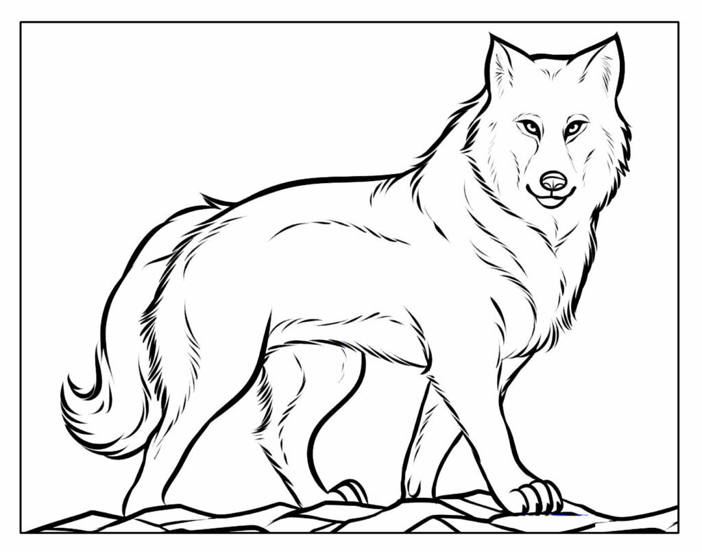 desenhos de lobo para colorir e pintar 1
