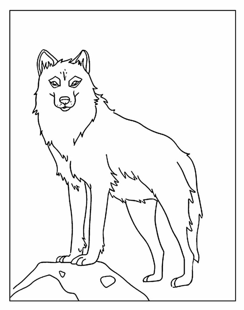 desenhos de lobo para colorir e pintar 10