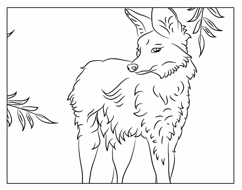 desenhos de lobo para colorir e pintar 14