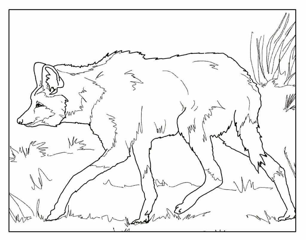 desenhos de lobo para colorir e pintar 15