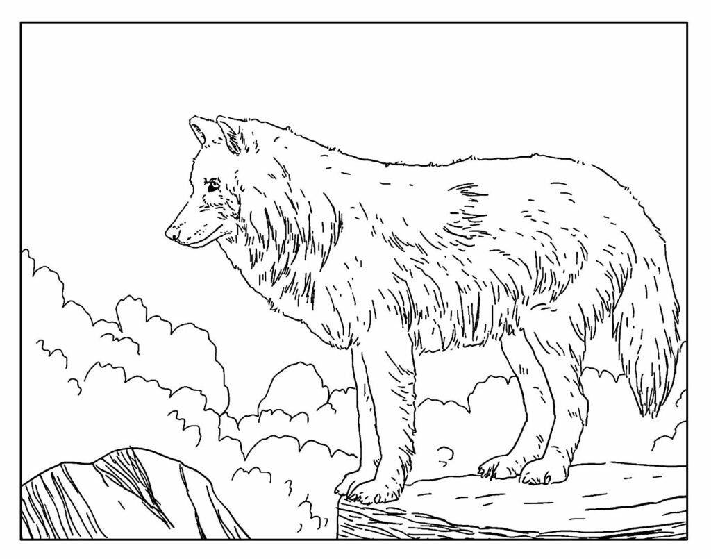 desenhos de lobo para colorir e pintar 16