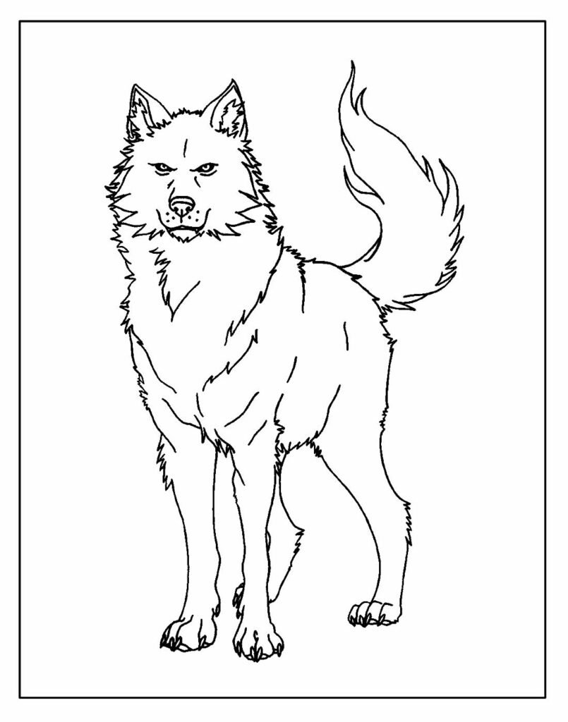 desenhos de lobo para colorir e pintar 19