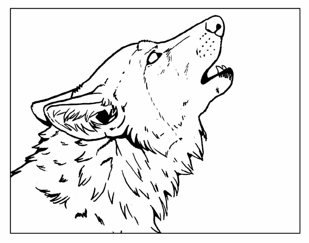 desenhos de lobo para colorir e pintar 22