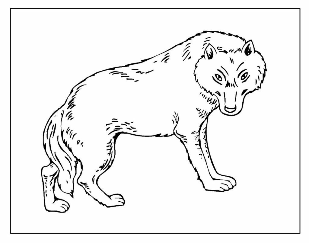 desenhos de lobo para colorir e pintar 23