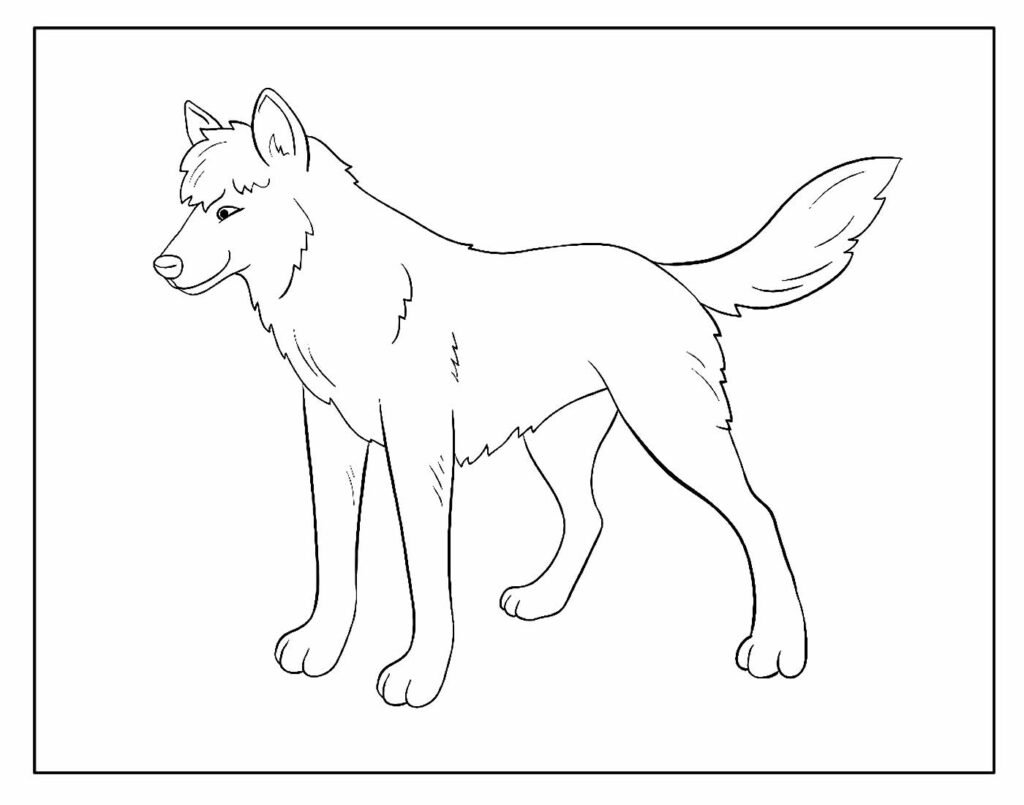 desenhos de lobo para colorir e pintar 24