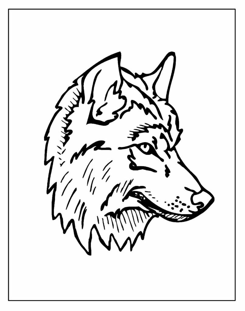 desenhos de lobo para colorir e pintar 3
