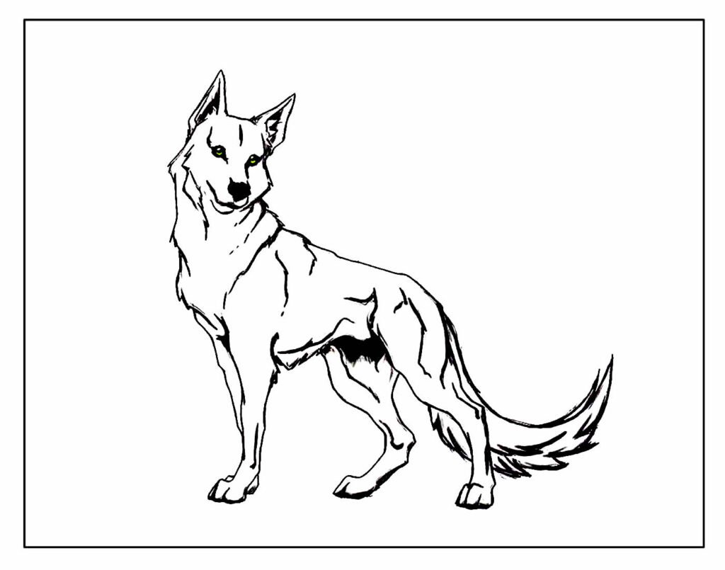 desenhos de lobo para colorir e pintar 7