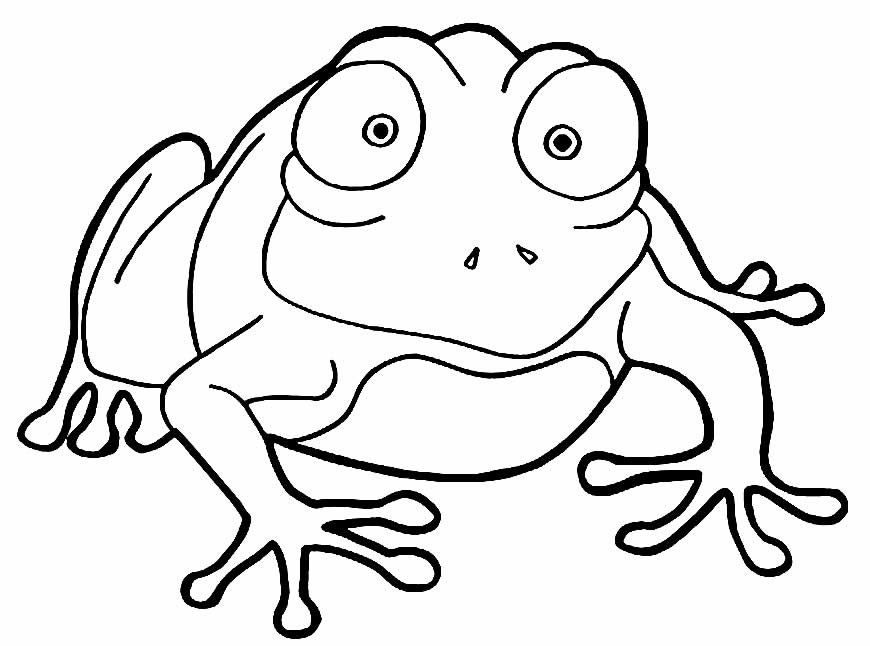 desenhos de sapo para pintar e colorir 1
