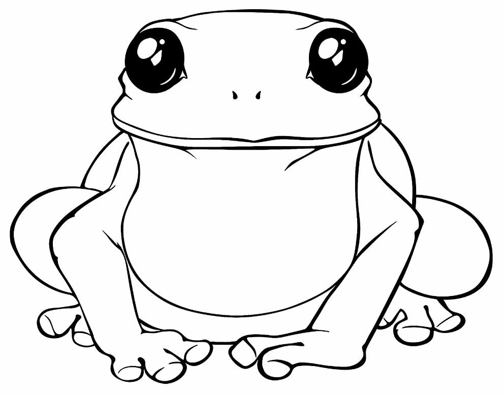 desenhos de sapo para pintar e colorir 5