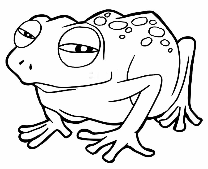 desenhos de sapo para pintar e colorir 6