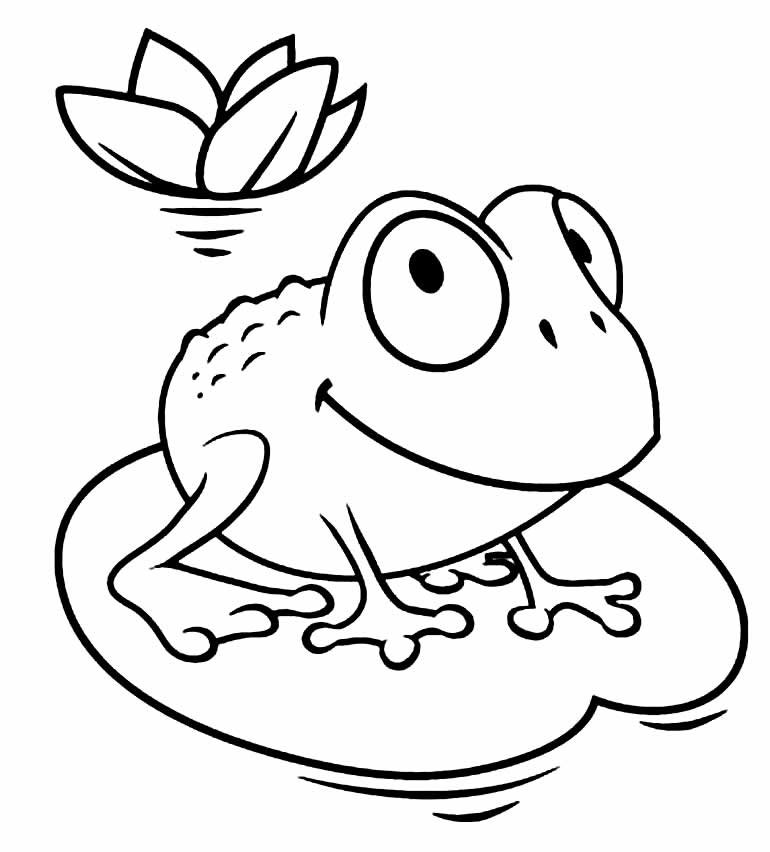 desenhos de sapos para colorir 13