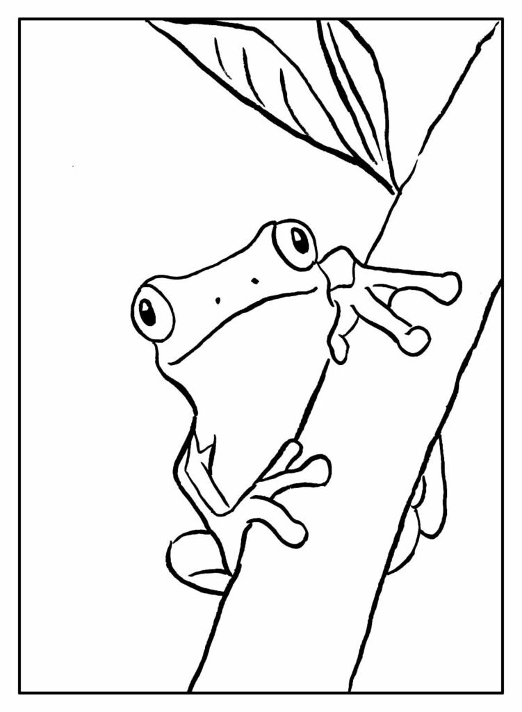 desenhos de sapos para colorir 16