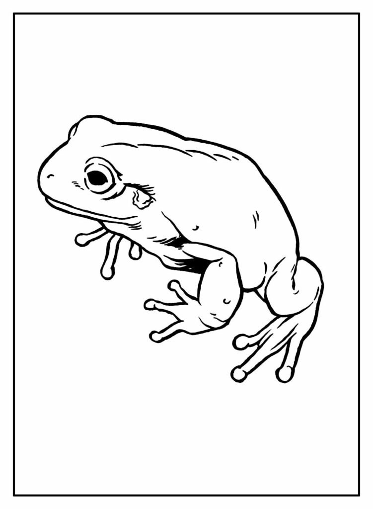 desenhos de sapos para colorir 17