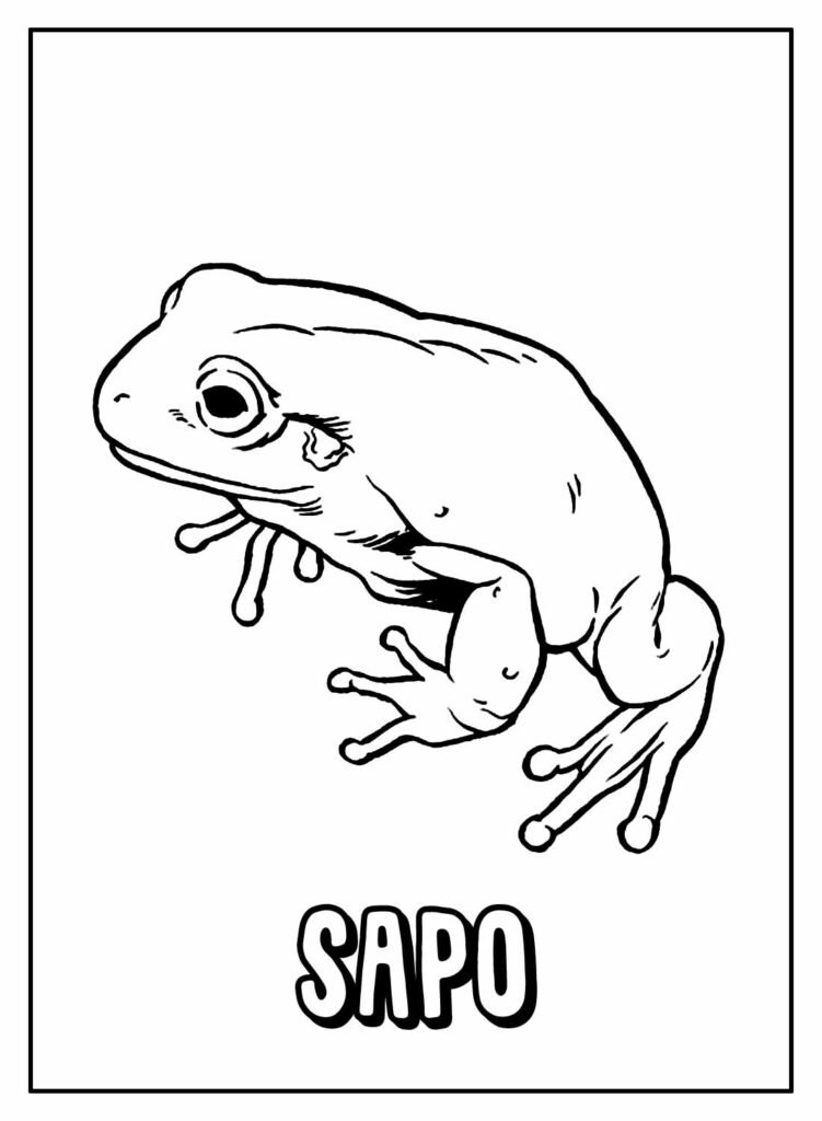 desenhos de sapos para colorir 19