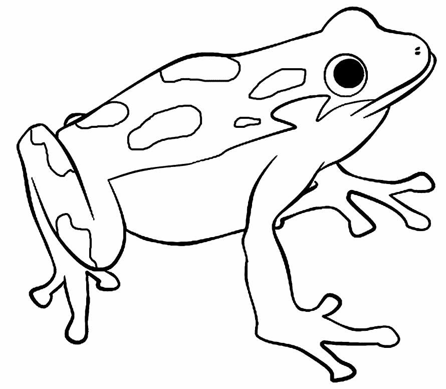 desenhos de sapos para colorir 22
