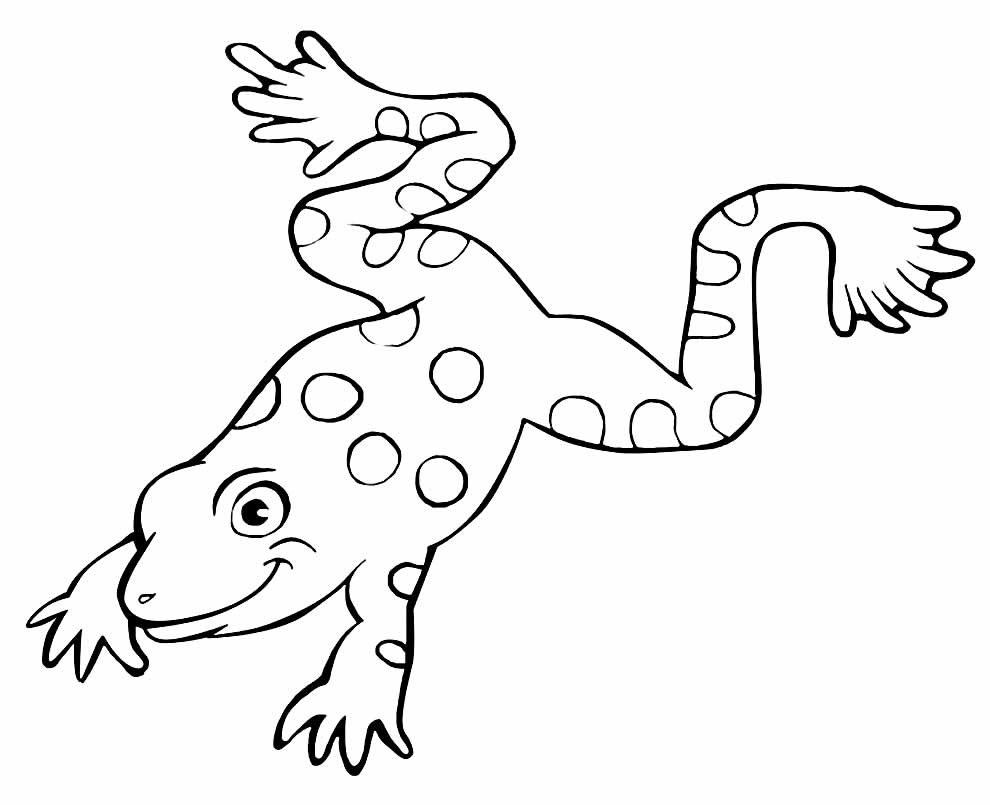desenhos de sapos para colorir 25