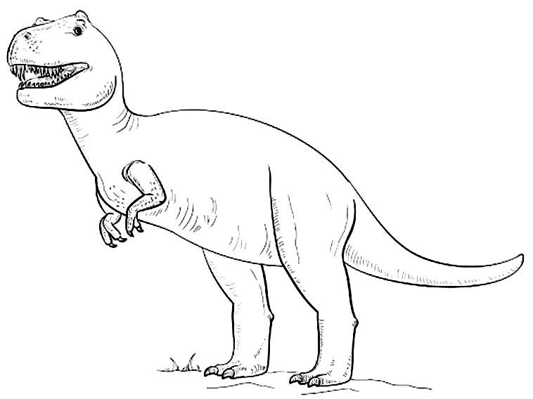 desenhos de t rex para colorir 200