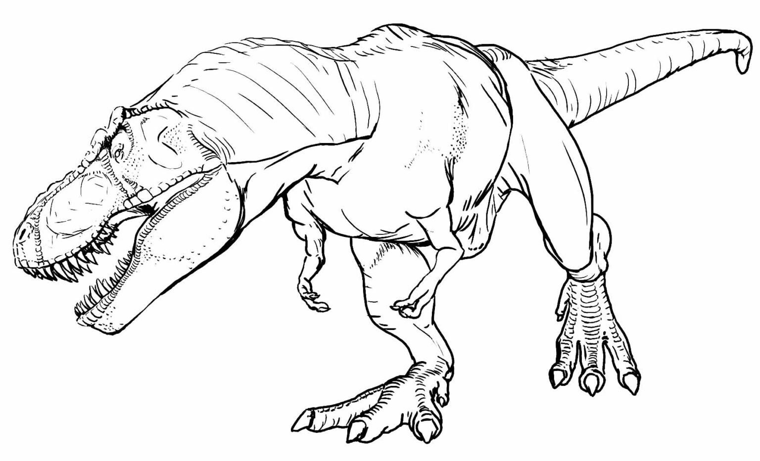 +150 Desenhos de T-Rex para Colorir e Imprimir