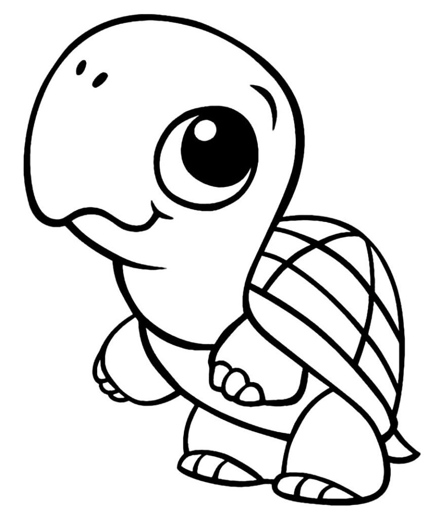 desenhos de tartaruga 2 desenhos de tartaruga 2