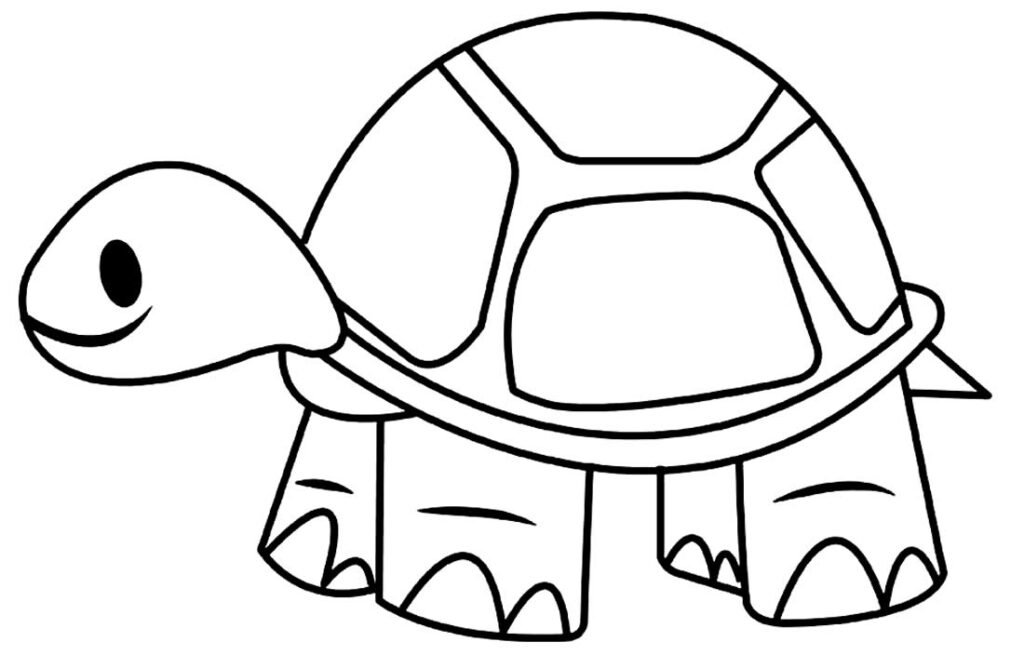 desenhos de tartaruga 3 desenhos de tartaruga 3