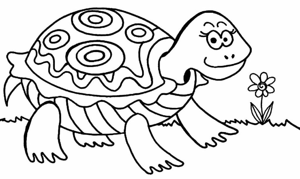 desenhos de tartaruga 6 desenhos de tartaruga 6
