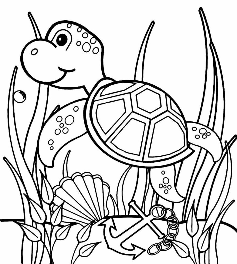 desenhos de tartaruga 7 desenhos de tartaruga 7