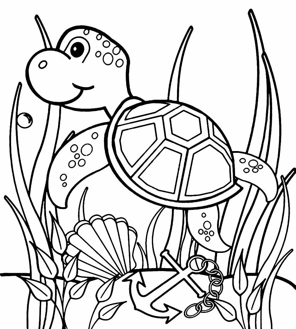 +100 Desenhos de Tartaruga para Colorir e Imprimir