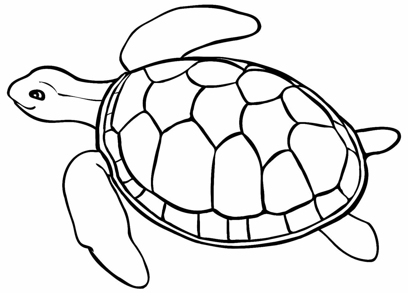 +100 Desenhos de Tartaruga para Colorir e Imprimir