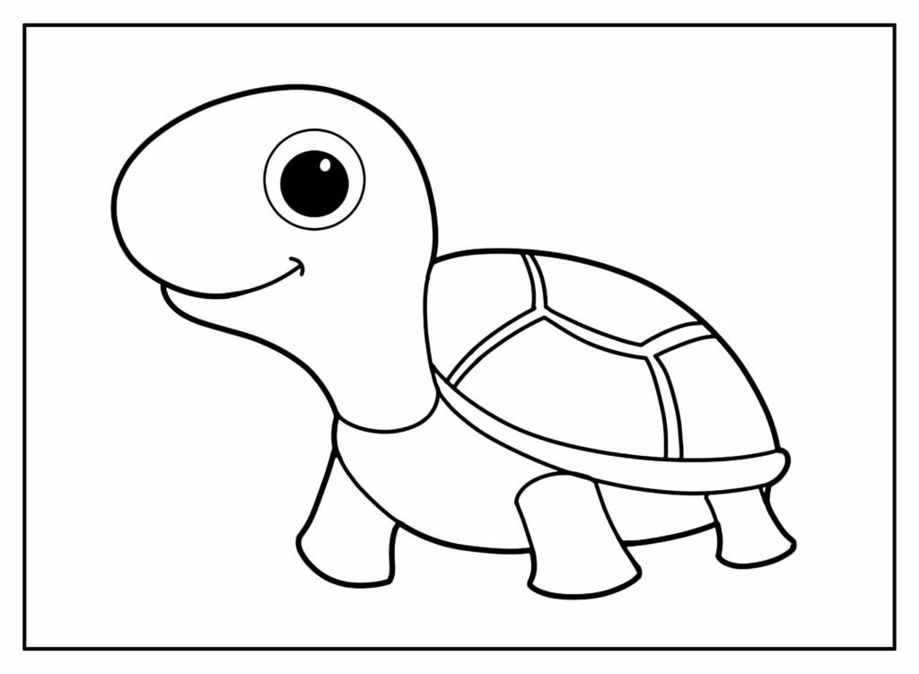 desenhos de tartaruga para colorir 10 1