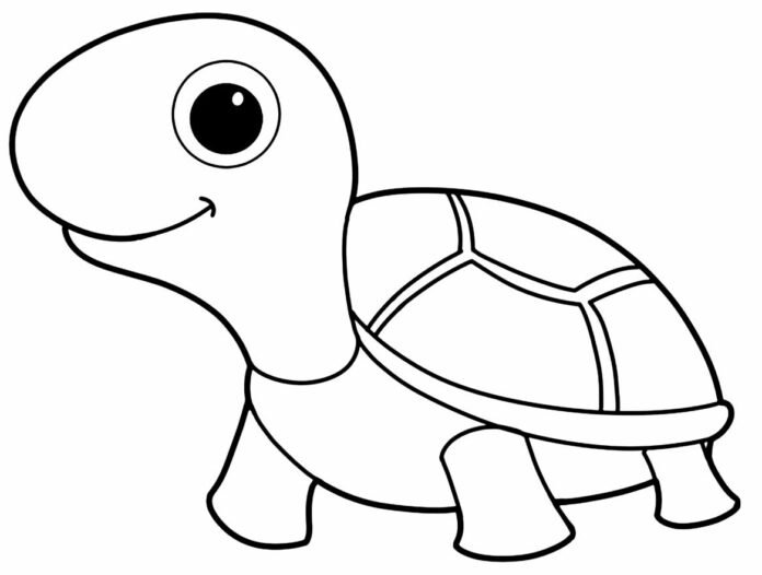 +100 Desenhos de Tartaruga para Colorir e Imprimir