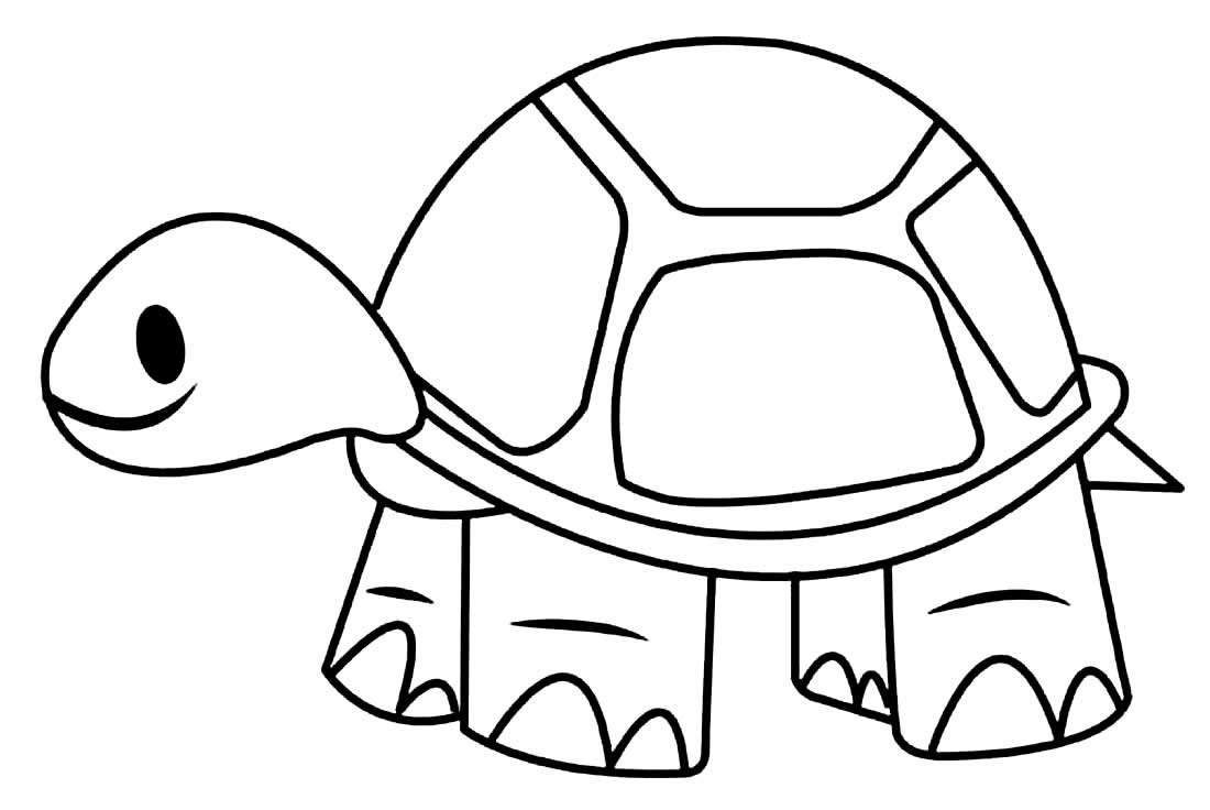 +100 Desenhos de Tartaruga para Colorir e Imprimir