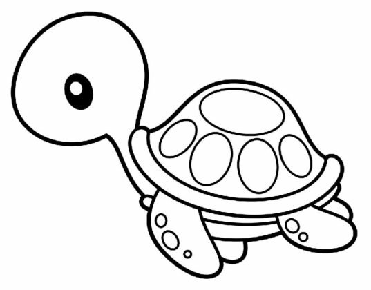 +100 Desenhos de Tartaruga para Colorir e Imprimir
