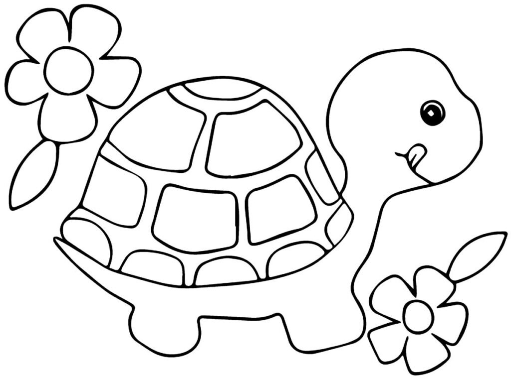 desenhos de tartaruga para colorir 15